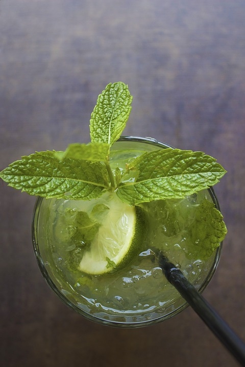 Mojito, recept