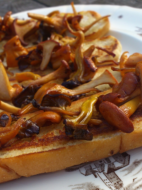 Bruschetta Med Kantareller, recept